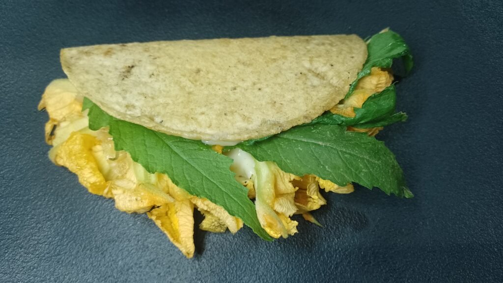 Testal - Quesadilla de flor de abobora com tortilha de milho